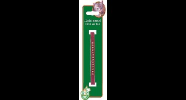 Kattenhalsband Fluweel + Steen Paars