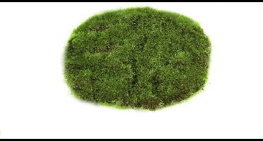 Countryfield moschijf educatief speelgoed groen 14x14x2cm karton.