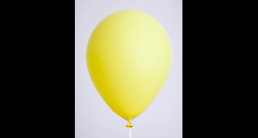 Globos ballonnen speelgoed zak 25 stuks geel multicolor.