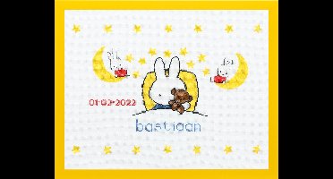 Pako Borduurpakket geboorte- telpatroon met codekaart - Nijntje gaat slapen Dick Bruna geboortetegel -230.278 - voorgesorteerd garen- Aida - 45 x 36 cm - DIY kit