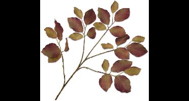 Silk-ka Kunstbloem-Zijden Bloem-Kunsttak Bladtak Groen-Bruin 78 cm