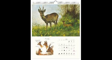 Rien Poortvliets großer Tierkalender 2026