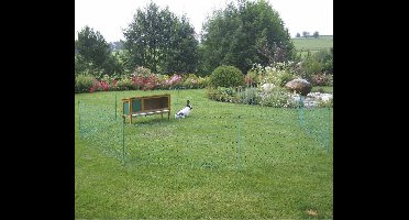 Excellent Net afrast konijn 65 cm, enkelpunt 12 m - 9 Stroom doorvoerende draden - Konijnennet - Groen