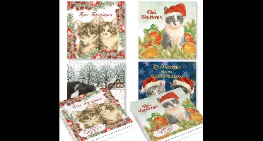 Franciens Katten kerstkaarten - set 2