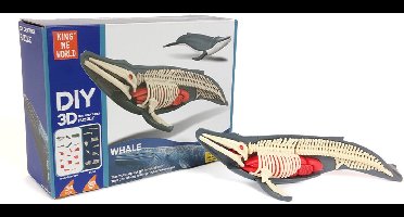 PIA Soft Toys - Walvis - 3D Anatomie