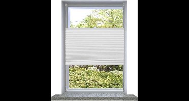 vidaXL - Plisséjaloezie - 40x100 - cm - wit