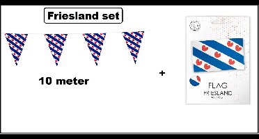 Friesland set - 1x vlaggenlijn 10meter + vlag 90cm x 150cm - Landen Frysland festival thema feest vlaglijn verjaardag fun party