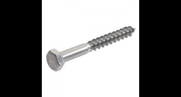 Deltafix - Houtdraadbout 10x70mm rvs