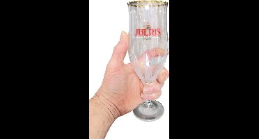 24 x Julius bierglas + 300 x bierviltje Julius + 10 x tafelstandaard SALE !!