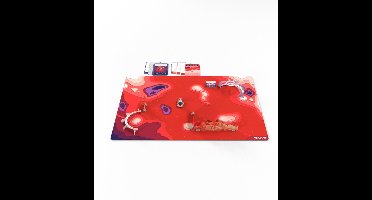 Ozobot Challenge Mat - Mars