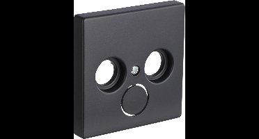 Busch-Jaeger Future Linear centraalplaat - radio/tv - zwart