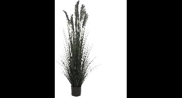 Kunstplant Siergras in Pot Zwart - 152 cm