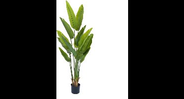 Kunstplant Strelitzia - 150 cm