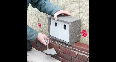 CJ Wildlife Dubbele Nestkast - Aanbevolen door de Vogelbescherming Nederland - Estella - Nestkastje voor o.a. Koolmees, Boomklevers & Mussen - Houten Vogelhuisje - FSC-gecertificeerd