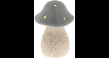 Paddenstoel Lamp - Paddestoel Lamp - Mushroom Lamp