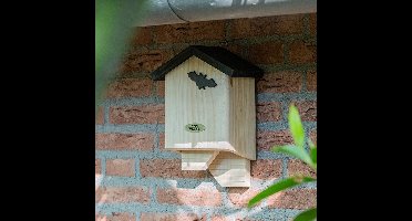 CJ Wildlife Vleermuiskast - Chaumont - Vleermuizenkast van FSC-gecertificeerd Hout