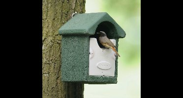 CJ Wildlife Nestkast - Aanbevolen door de Vogelbescherming Nederland - Barcelona - Nestkastje voor o.a. Roodborstjes & Winterkoninkjes - Woodstone Vogelhuisje - FSC-gecertificeerd - Groen