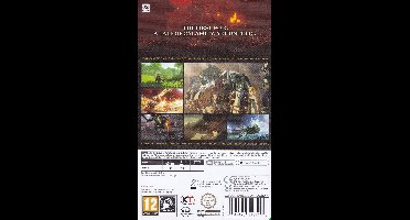 Hyrule Warriors: Age Of Imprisonment (Switch 2)