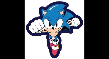 Kussen van Sonic