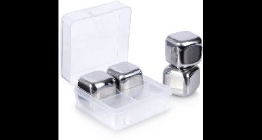 Excellent Houseware - Herbruikbare Stalen IJsklontjes - 4 Stuks