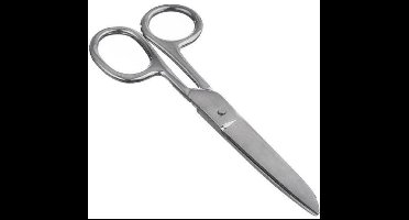 Orion - Universele Roestvrijstalen Schaar - 15 cm - Comfortabele Handgreep - Precies Snijden