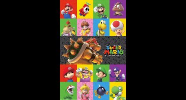 Super Mario Characters - Maxi Poster