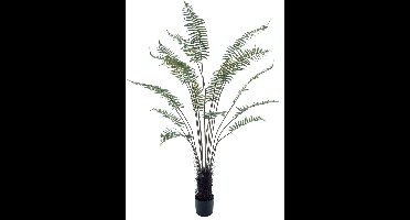 Kunst Palmvaren 180cm | Kunstpalm 180cm | Grote Kunstplant | Kunstplant voor binnen | Tropische Kunstplant | Groene kunstplant 180cm