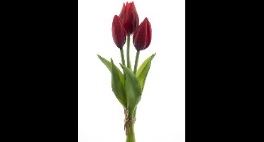 Nova nature - PSO Holland Tulip bundle Sally x3 red 25 cm kunstbloem