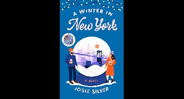 Winterroman: Liefde en geheimen in New York