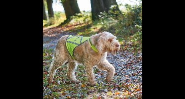 Hunter Veiligheidshesje - M