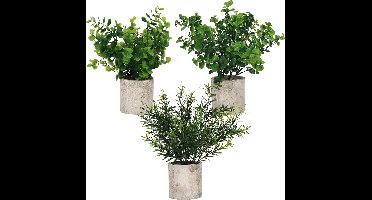 EGoods - Kunstmatige Eucalyptus Planten in Potten (3 Stuks) - Faux Plastic Groen voor Kantoor, Huis en Tuin - Decoratieve Nepplanten voor Binnen - Badkamer en Douche Deco