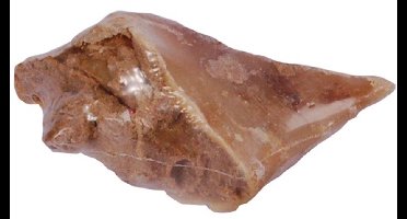 Zoolekker Kauwhoefjes met paté - smakelijke gevulde hondensnack van rund, langdurig kauwplezier, bulkverpakking