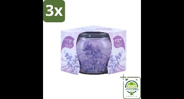 3 x At Home - Scents - Geurkaars - Lavender - 70 g - Grootverpakking - Lavendel Geur - Geurkaars - Natuurlijke Kaars - Sojawas Kaars - Vegan Kaars