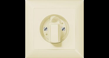 Jung AS500 Driestandenschakelaar - AS15504.10N - E34MJ