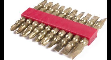 Benson Bitset - Dubbelzijdig - Goudkleurig - 10-delig - Koolstofstaal