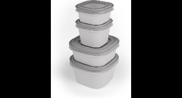 Sunware - Sunware Sigma home 4 stuks vershoudbakjes - Grijs