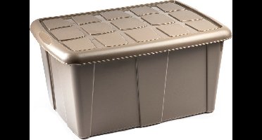 Plasticforte Opbergbox met deksel - Beige - 60L - kunststof - 63 x 46 x 32 cm