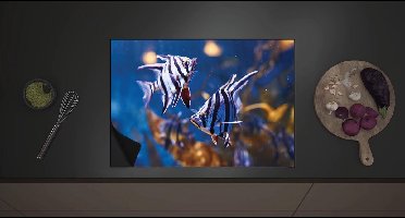 Inductieplaat Beschermer - Duo Enoplosus Armatus Vis met Blauwe Details - 70x52 cm - 2 mm Dik - Inductie Beschermer met zwarte kern