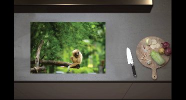 Inductieplaat Beschermer - Bruine Slinger Aap zittend op Bruine Tak kijkend naar Rechts - 70x52 cm - 2 mm Dik - Inductie Beschermer van Vinyl