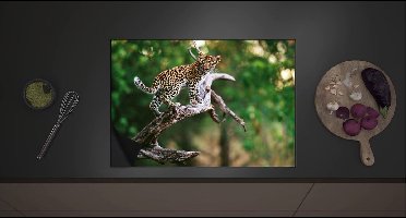 Inductie Beschermer - Baby Luipaard lopend over Smalle Tak in het BoS - 70x52 cm - 2 mm Dik - Inductieplaat Beschermer met zwarte kern