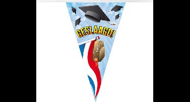 Vlaggenlijn geslaagd 10 meter