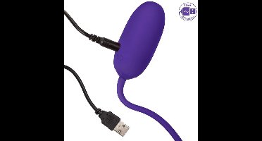 CalExotics - Recharg. Kegel Ball Starter - Balls Paars