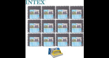 Intex - Zwembadtegels Grijs - 12 verpakkingen van 8 tegels - 24m² & WAYS scrubborstel