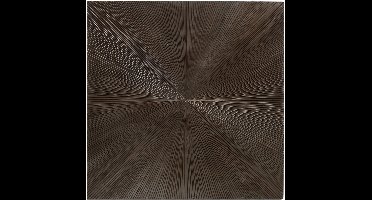PTMD Wandpaneel Zapp - 90x2x90 cm - Hout - Bruin