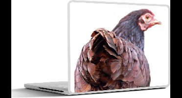Laptop sticker - 12.3 inch - Achteraanzicht kip - 30x22cm - Laptopstickers - Laptop skin - Cover