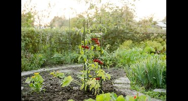 Nature - Tomatensteun - Driehoek - H150cm x Ø11mm - Verstelbaar