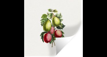 Muurstickers - Sticker Folie - Fruit - Vintage - Vijgen - 30x30 cm - Plakfolie - Muurstickers Kinderkamer - Zelfklevend Behang - Zelfklevend behangpapier - Stickerfolie