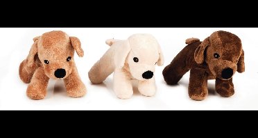 Beeztees Pluche hond asco kleur assorti 26cm