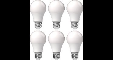 ProLong LED Lampen E27 - Mat - A60 Peer - 4.9W 40W - Warm wit - 6 stuks - Lamp
