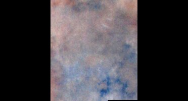 Falcon Eyes Achtergronddoek S122 2,9x7 m